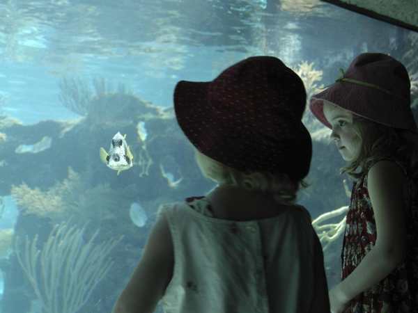 IMAG History and Science Center