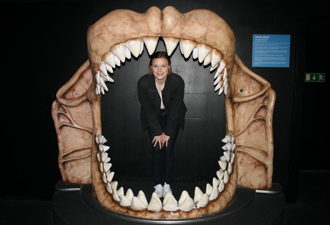 Universeum