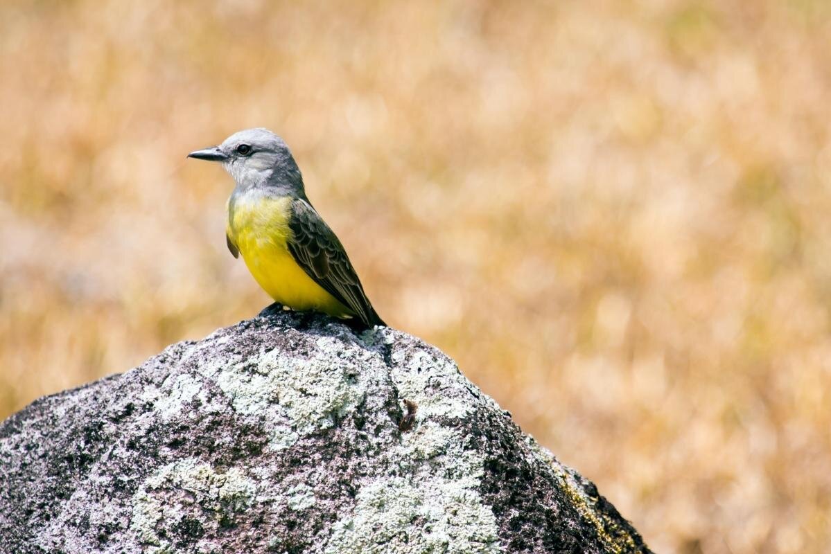 Parque Nacional Soberanía