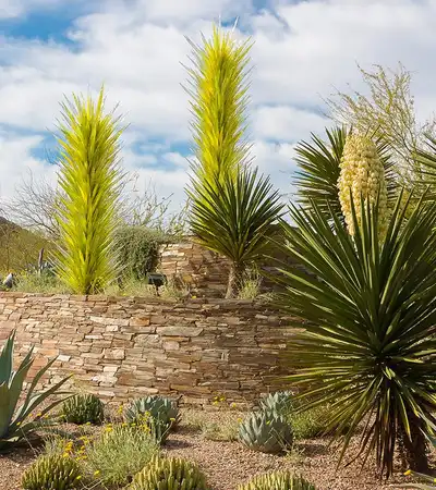 Phoenix in Arizona, United States