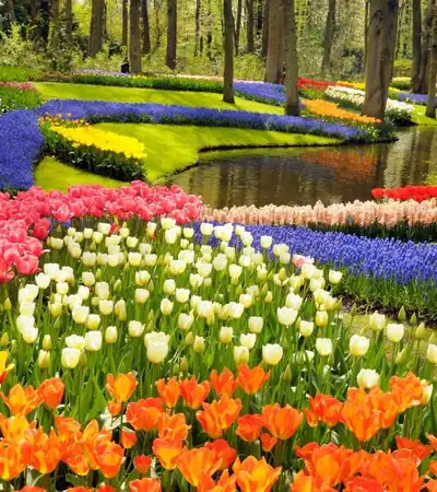 The Hague in South Holland, Netherlands