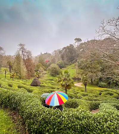 American's Golden Ticket to a Cornish Adventure with The Royal Oak Foundation