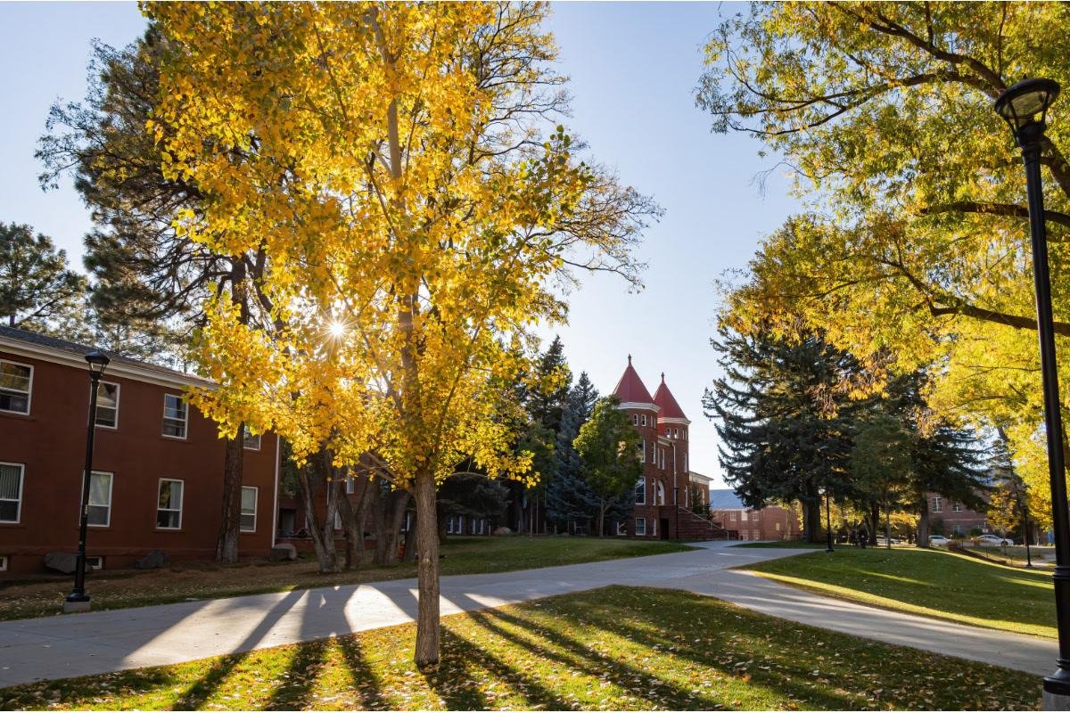 Northern Arizona University