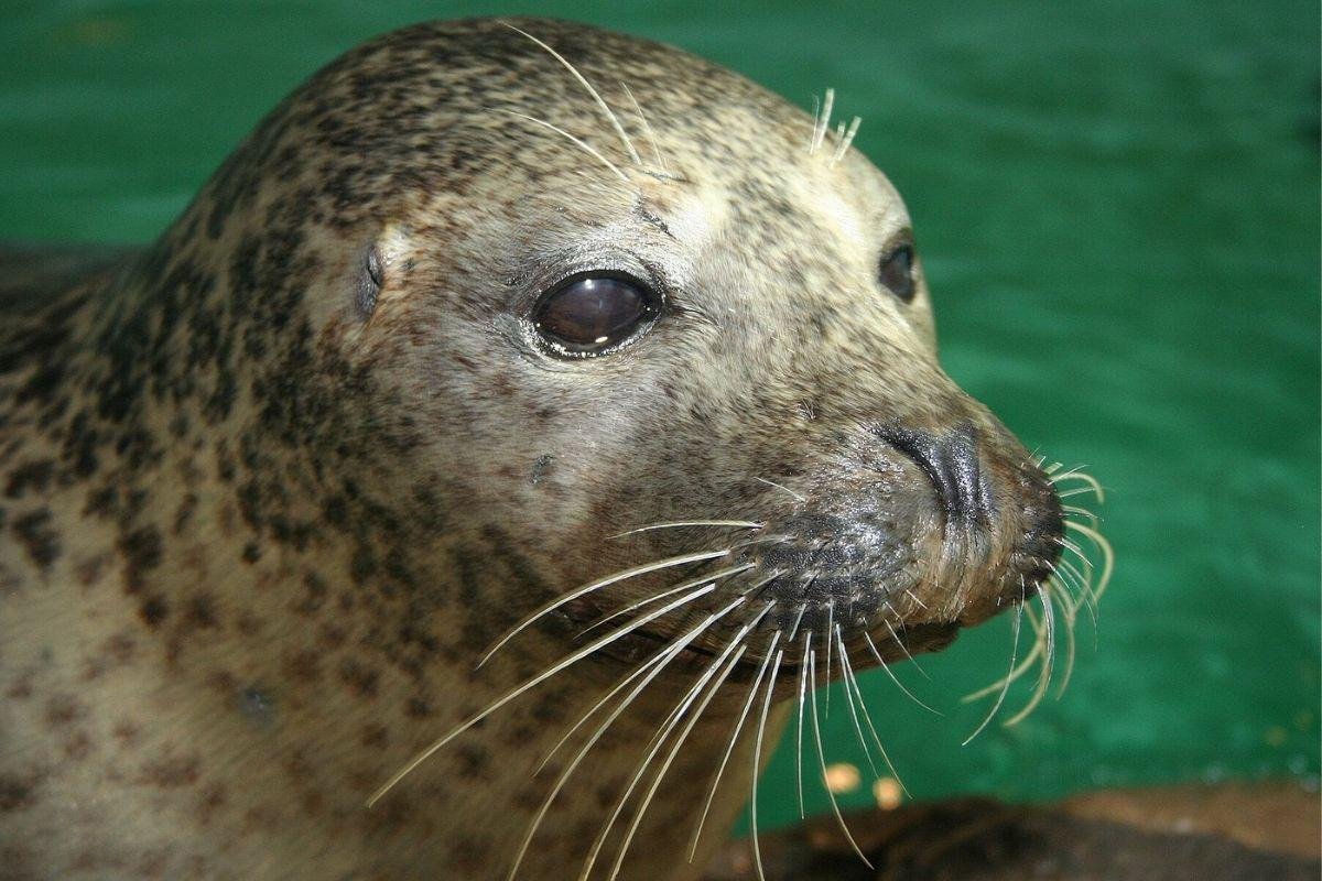 The Maritime Aquarium at Norwalk