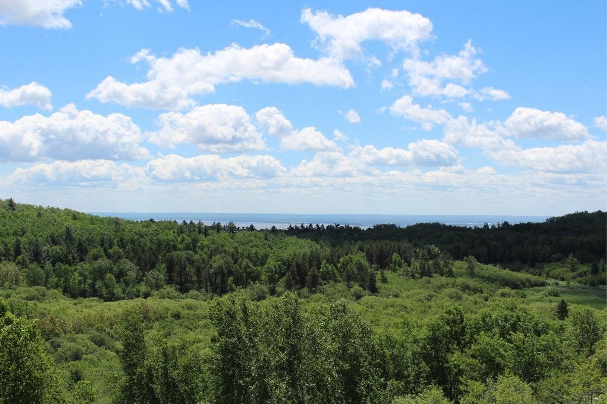 Hartley Nature Center