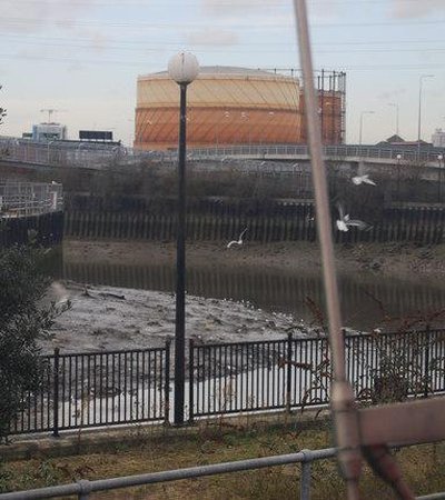 Bow Creek Ecology Park in London, England