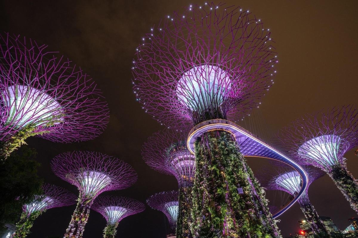 Supertree Grove