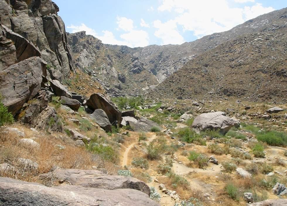 Tahquitz Canyon