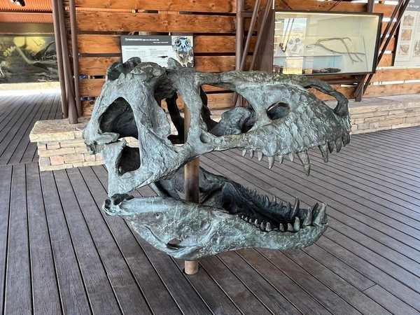 Fossil Discovery Exhibit