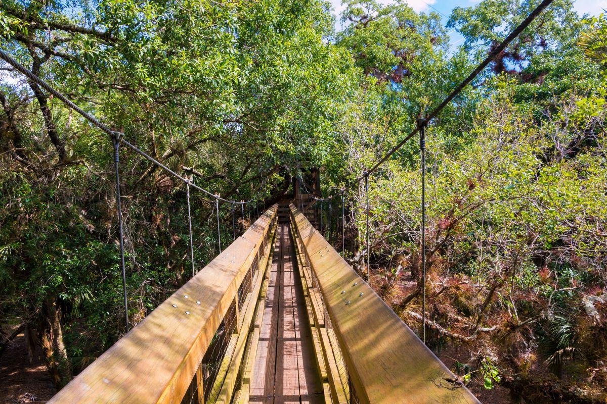 Myakka Canopy Walkway and Observation Tower