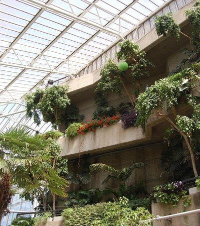 Barbican Conservatory in London, England