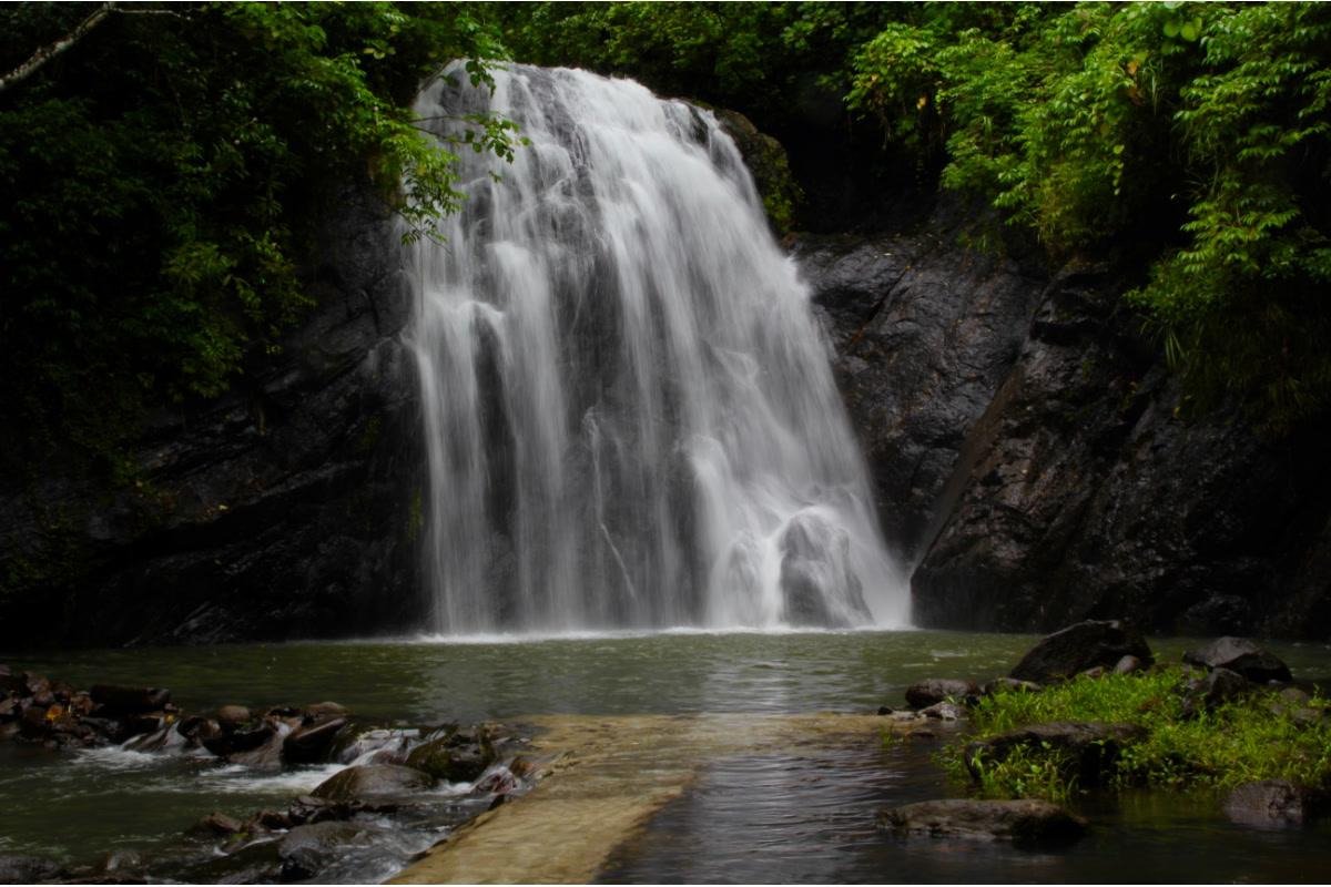 Muanivatu Trails