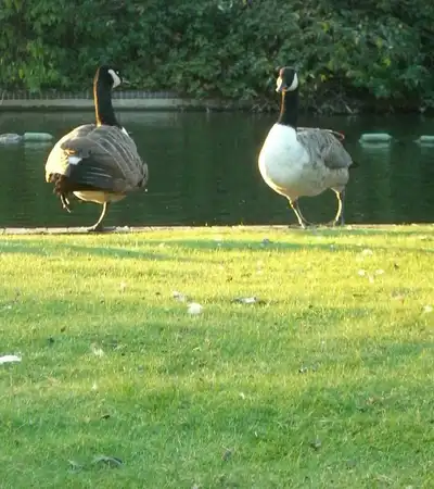 Southwark Park in London, England