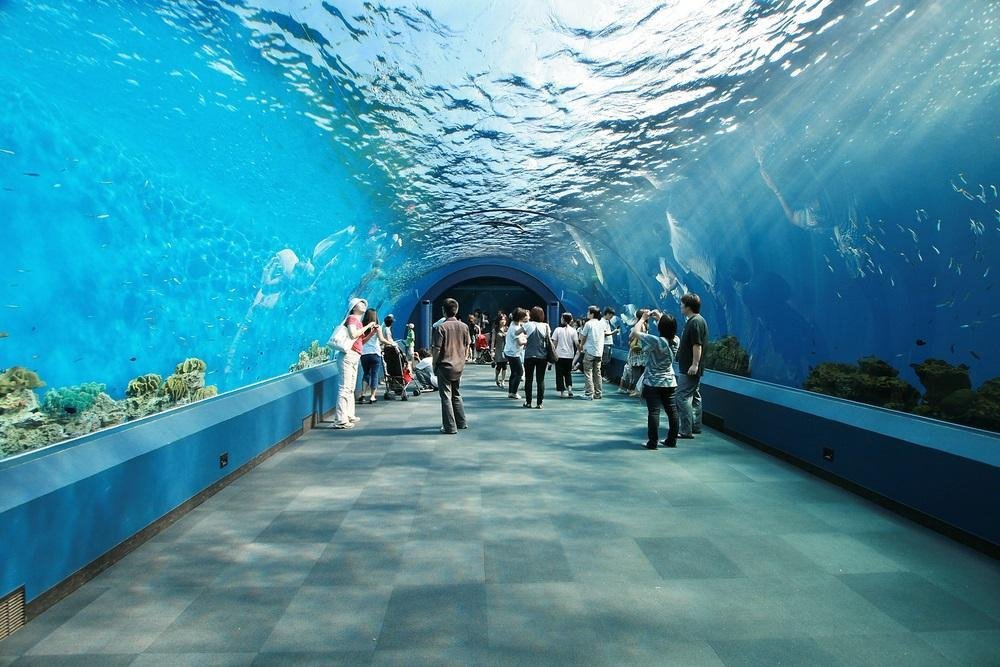Ripley's Aquarium of the Smokies