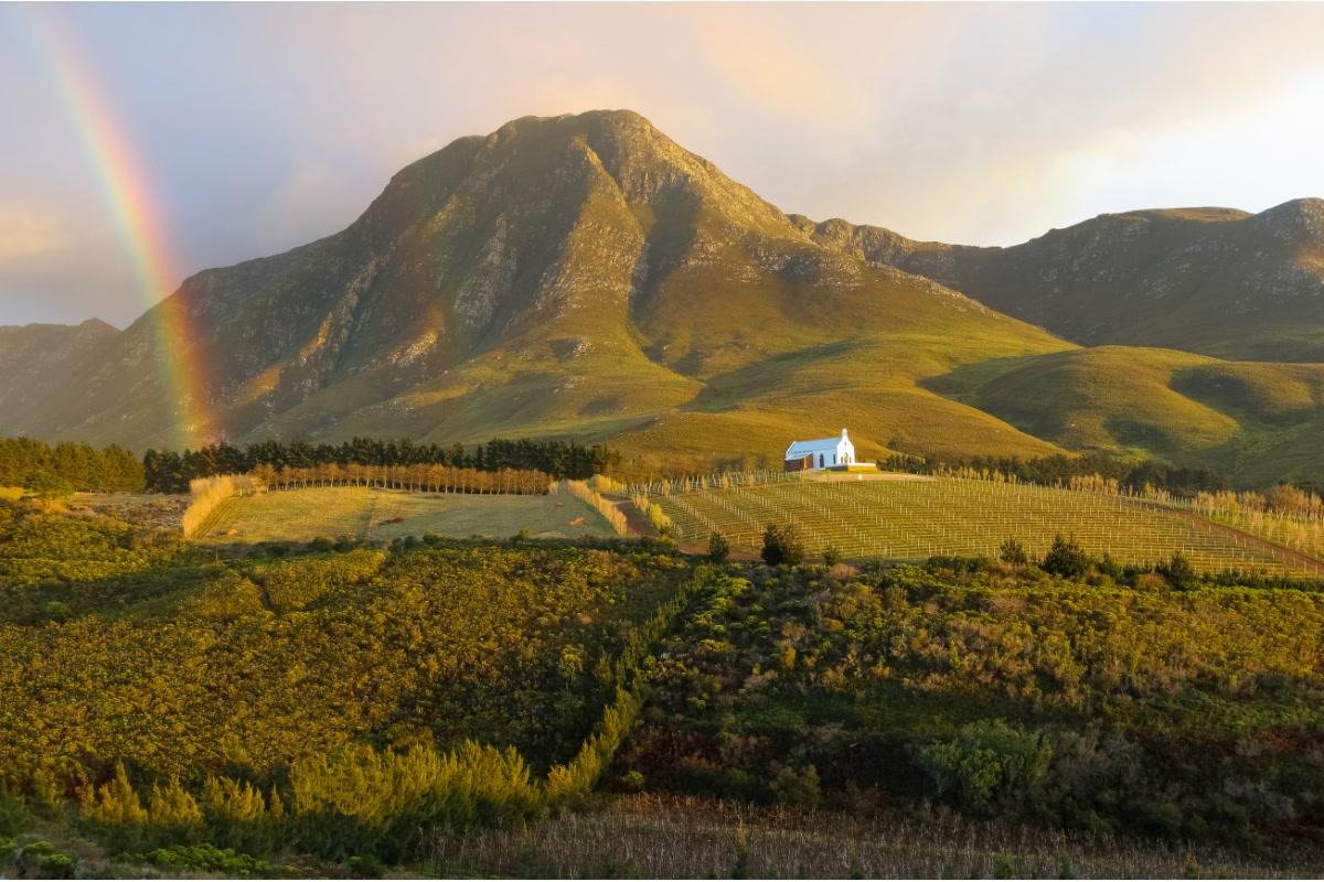 Ataraxia Wines