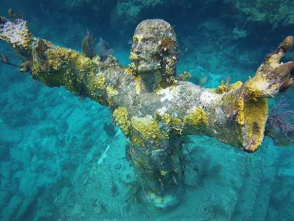 John Pennekamp Coral Reef State Park