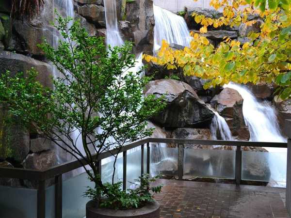 Waterfall Garden Park