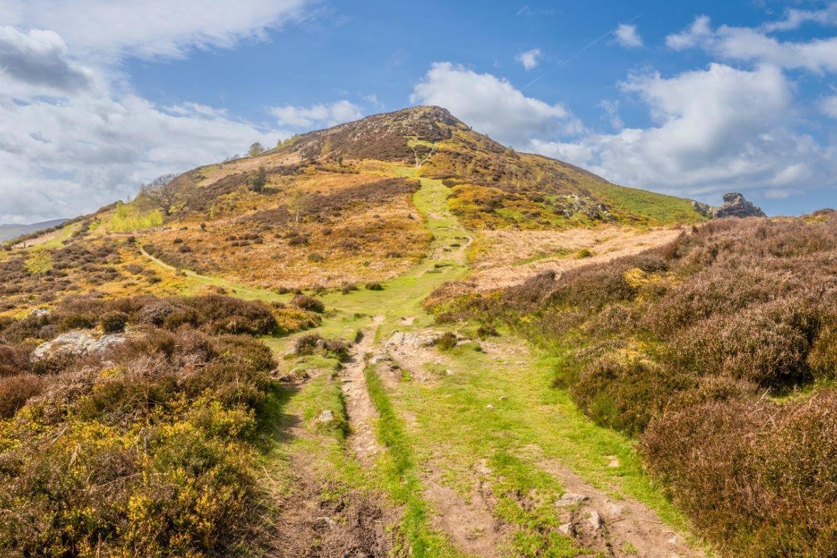 Mynydd y Dref