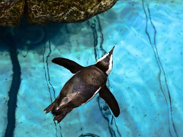 New England Aquarium