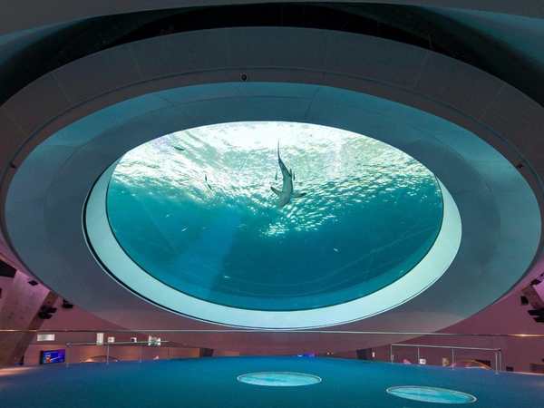 Phillip and Patricia Frost Museum of Science (Frost Science)