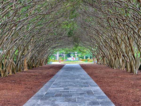 Dallas Arboretum and Botanical Garden
