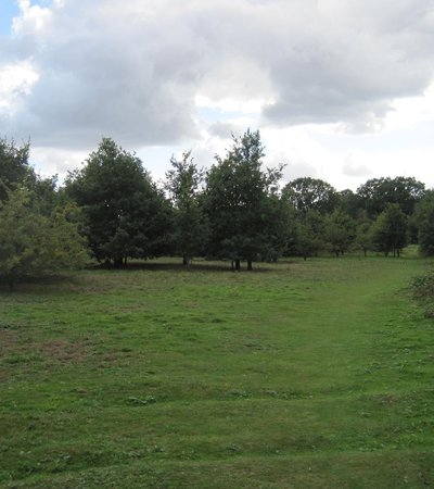 Rowley Lodge Field in London, England