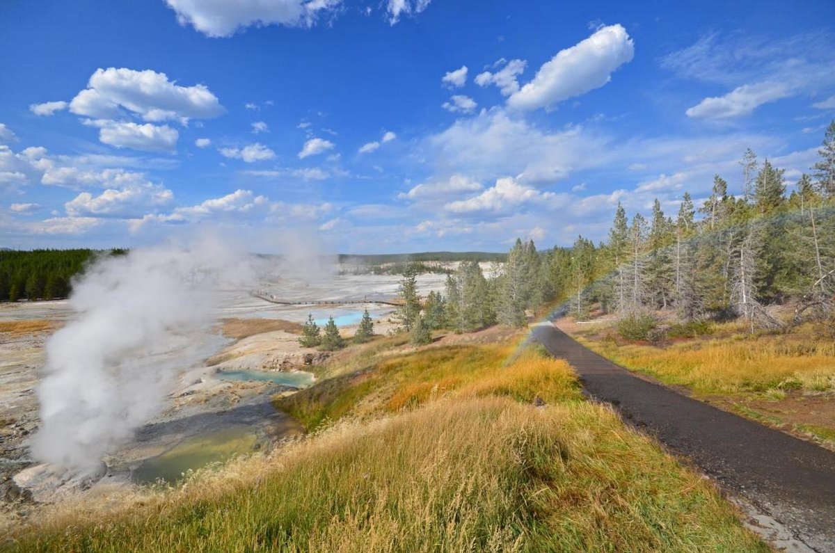 Norris Geyser Basin