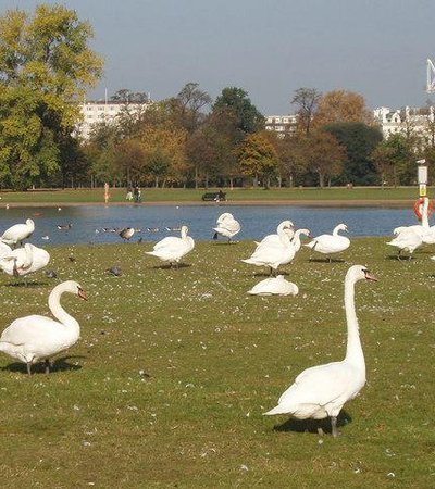 Round Pond in London, England