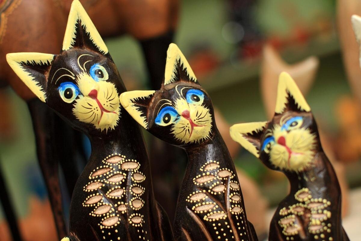 DBKU Cat Museum