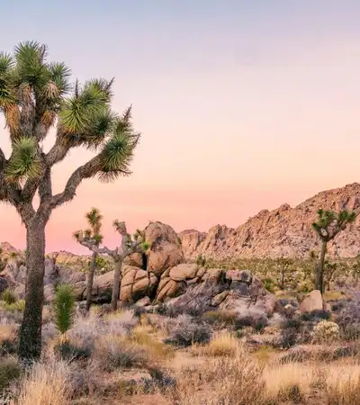 Palm Springs in California, United States