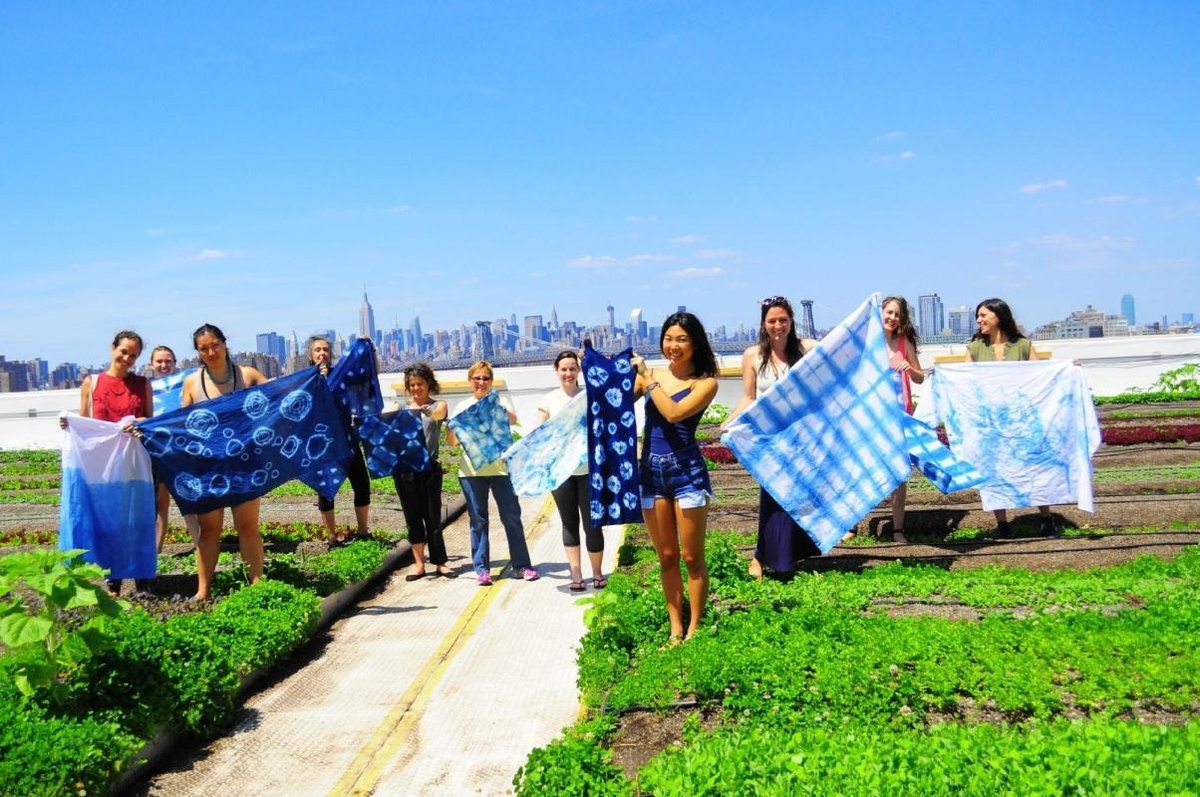 Brooklyn Grange