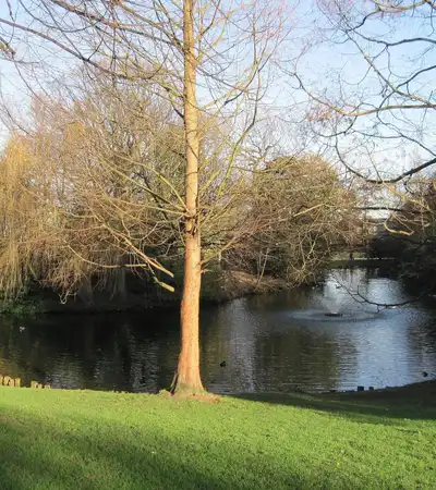 Springfield Park in London, England