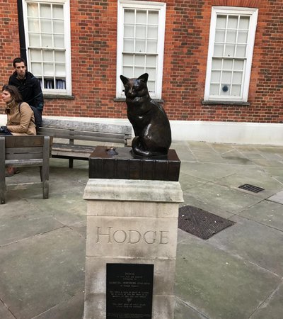 Hodge the Cat in London, England