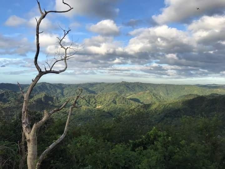 Mount Purro Nature Reserve