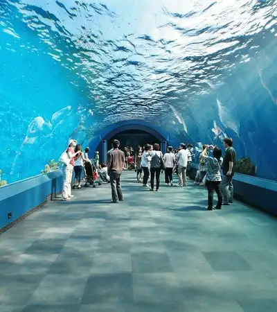 Myrtle Beach in South Carolina, United States