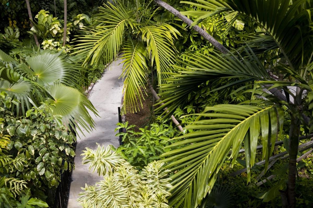 Key West Garden Club