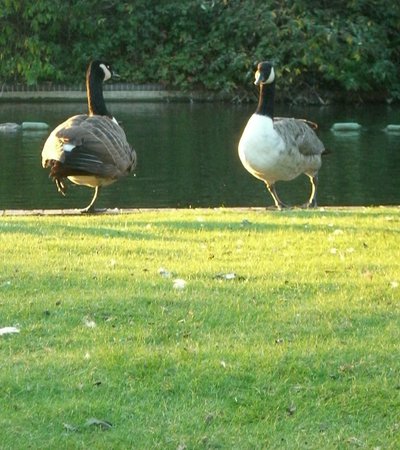 Southwark Park in London, England