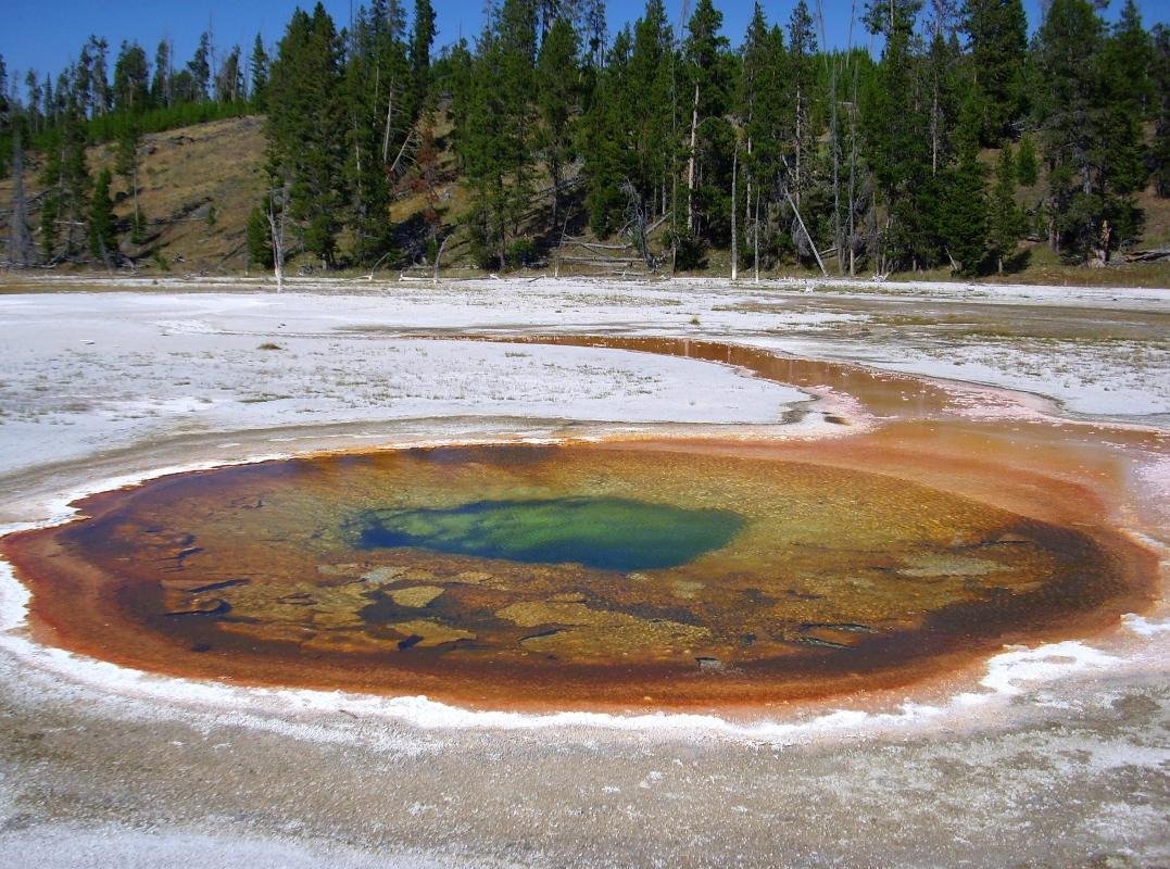 Fountain Paint Pots
