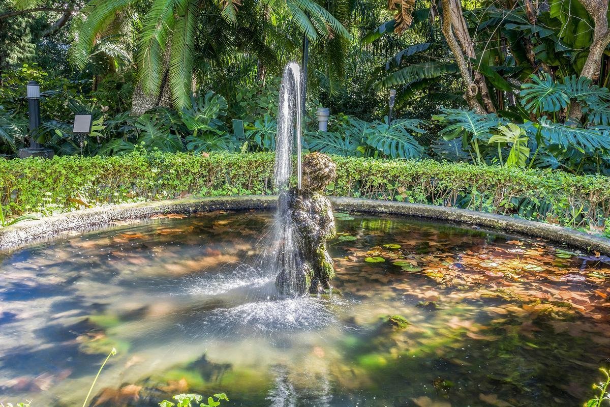Jardín Botánico - Histórico La Concepción