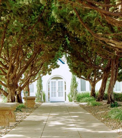 Self-Realization Fellowship