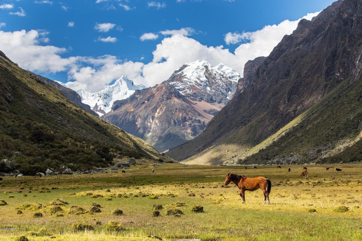 Alpamayo