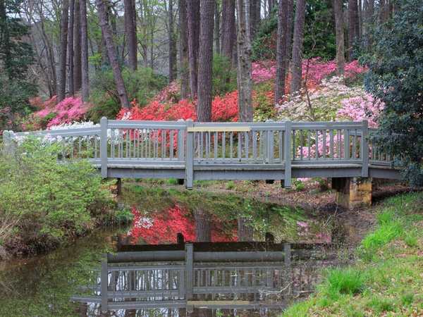 Callaway Gardens