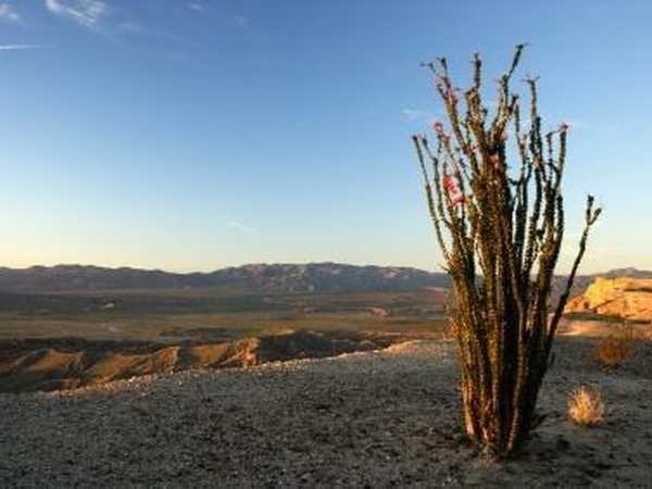 Anza-Borrego Desert State Park