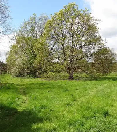 Leitrim Park in London, England