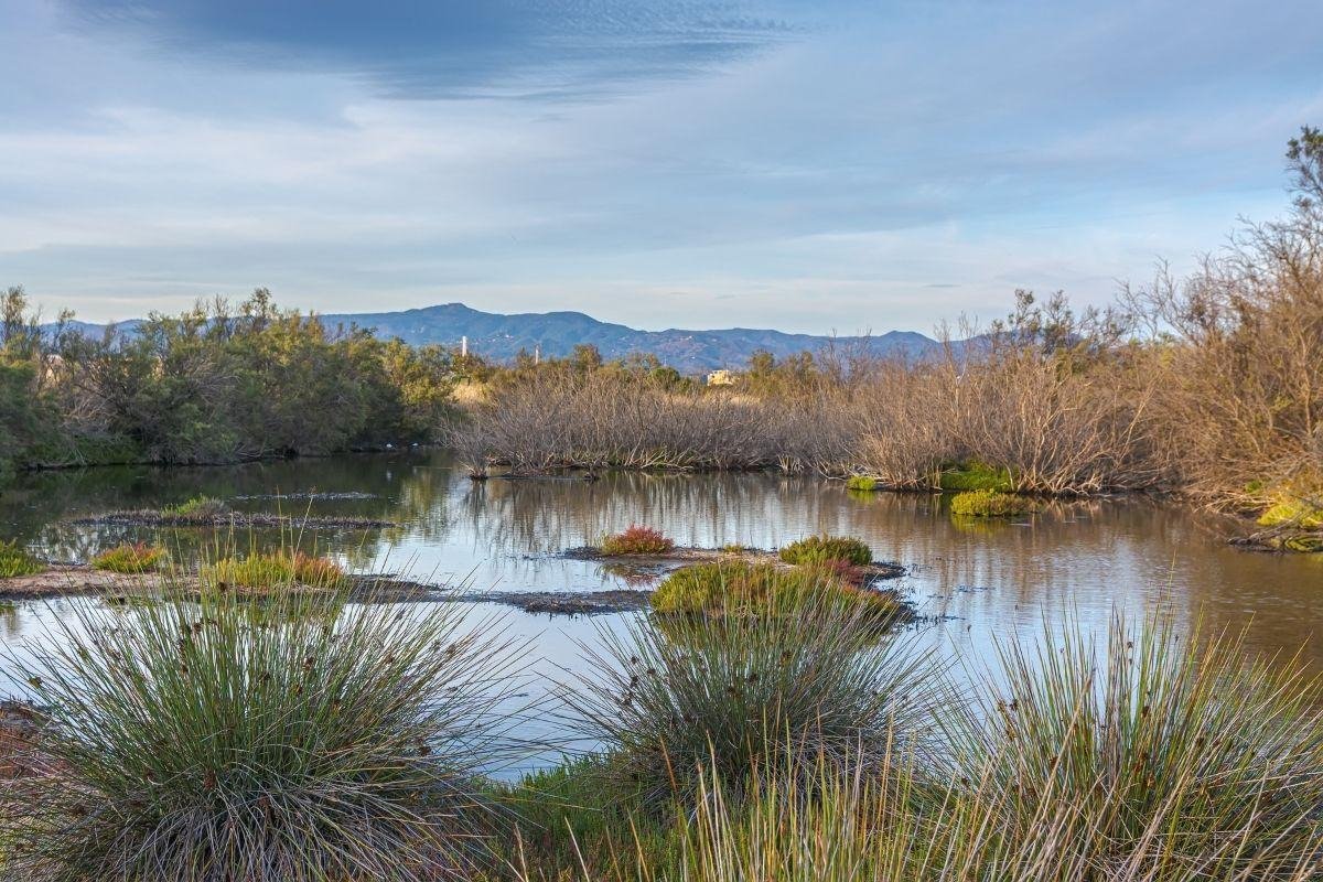 Paraje natural del Guadalhorce
