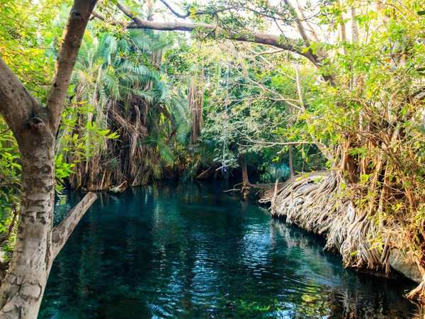 Kikuletwa Hot Springs (Chemka Hot Springs)