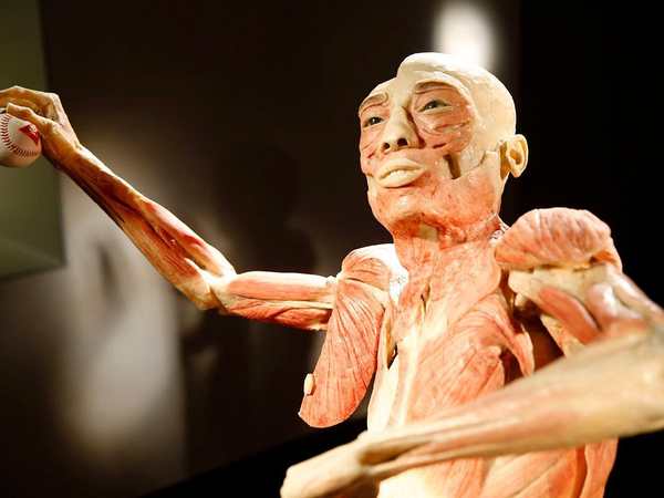 Bodies | The Exhibition