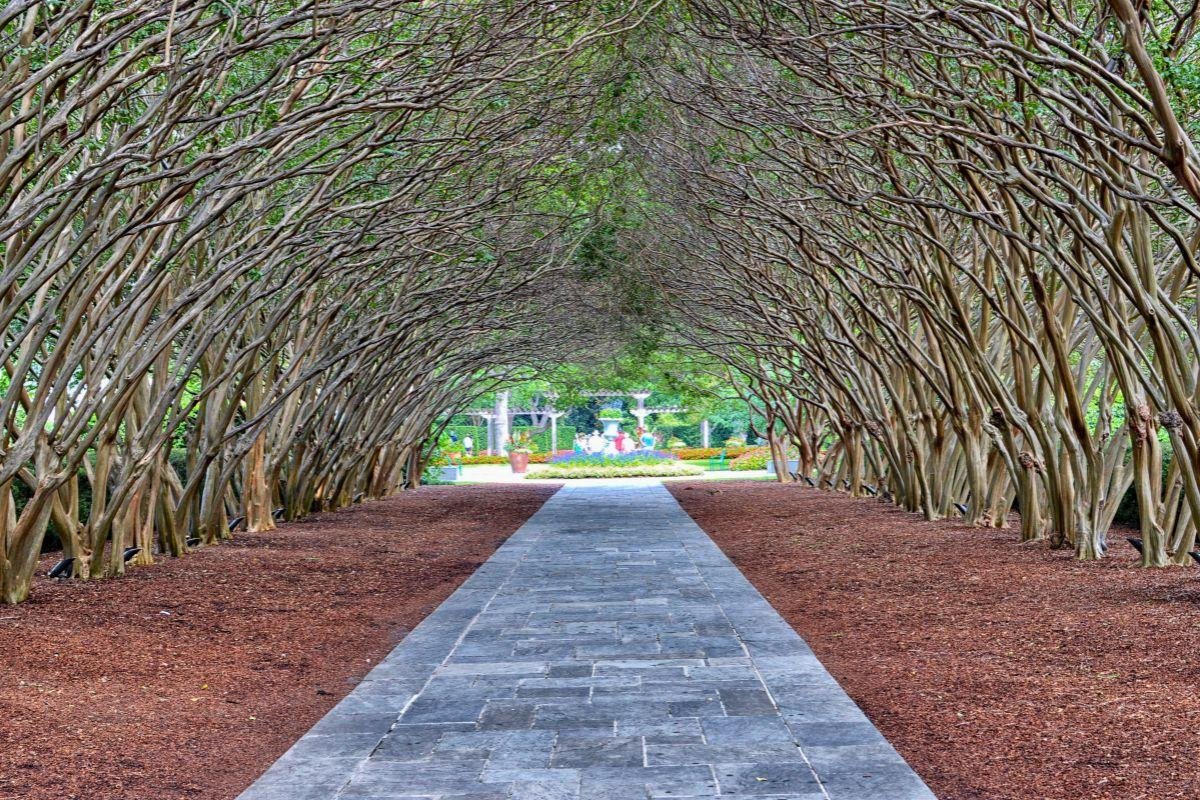 Dallas Arboretum and Botanical Garden