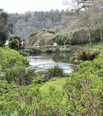 Trebah Garden in Falmouth, England