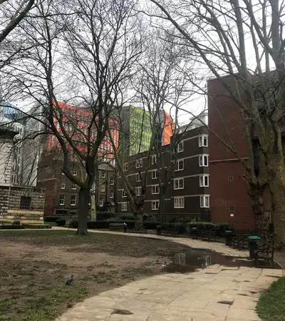 Phoenix Garden in London, England